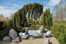 Load image into Gallery viewer, The Lyon 3 Seater Coffee Set